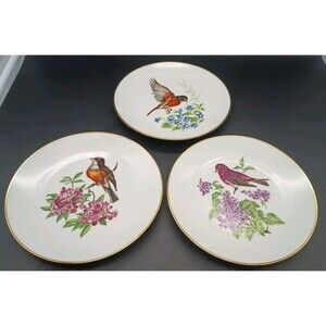 3 Vintage Bareuther Waldsassen Bavaria German Spring Birds & Flowers 8” Plates